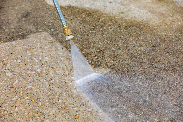 Best Animal Enclosure Cleaning  in Spanish Springs, NV